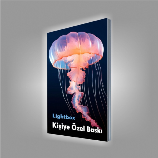 50x75 Ledbox Bask�
