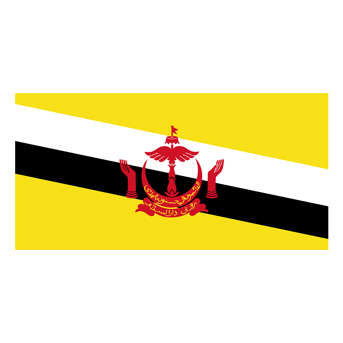 Brunei Bayra��