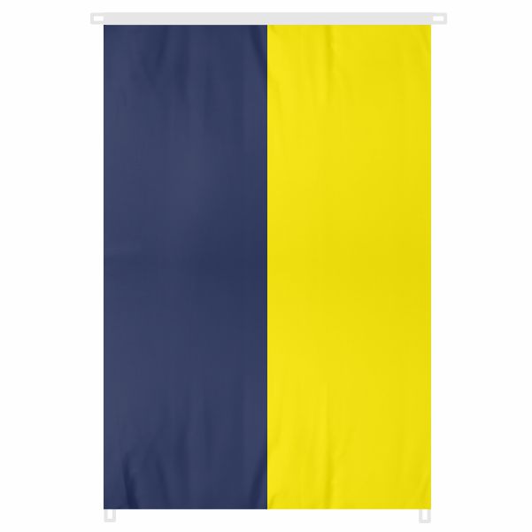 Fenerbah�e Bayra�� �e�itleri
