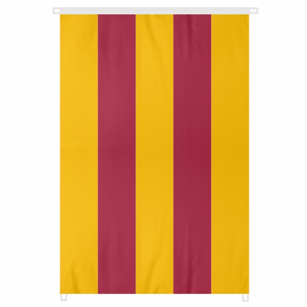 Galatasaray Bayra�� �reticisi