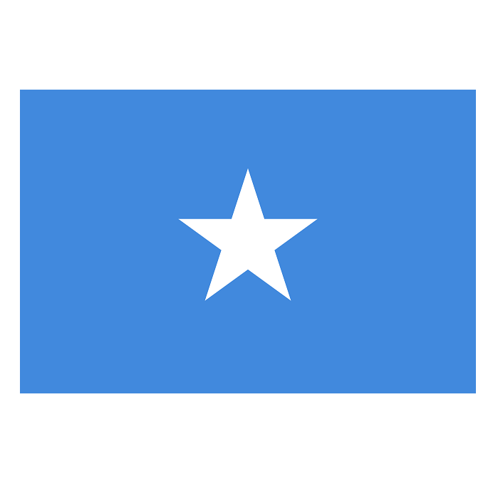 Somali Bayra��
